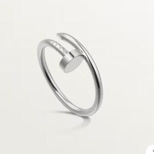 320. Stainless Steel Nail ring in Silver tone